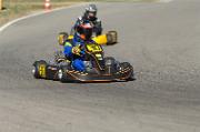 SAY_0396 (3)